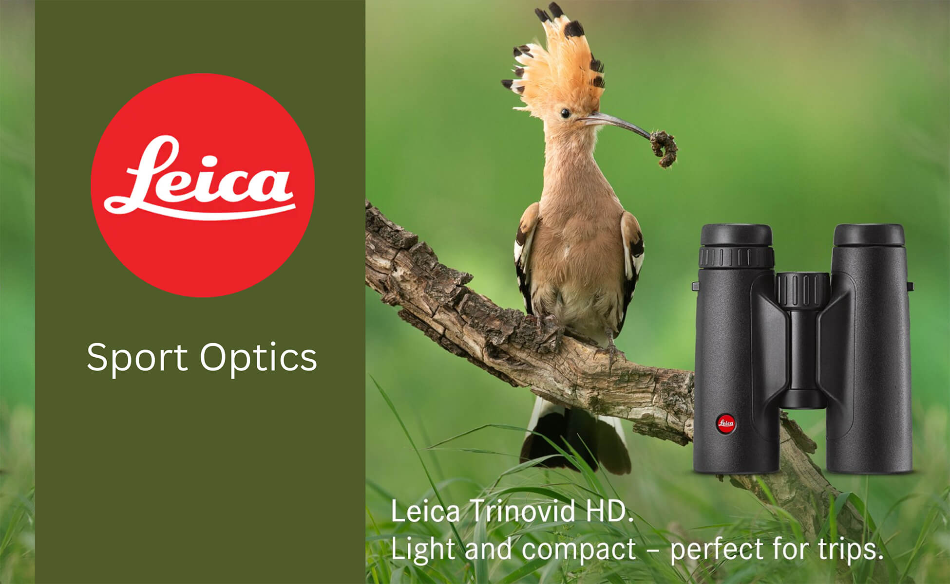Camera World 10 Leica optics binoculars ireland