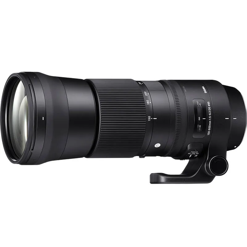 Sigma 150-600mm F5-6.3 DG OS HSM | Contemporary