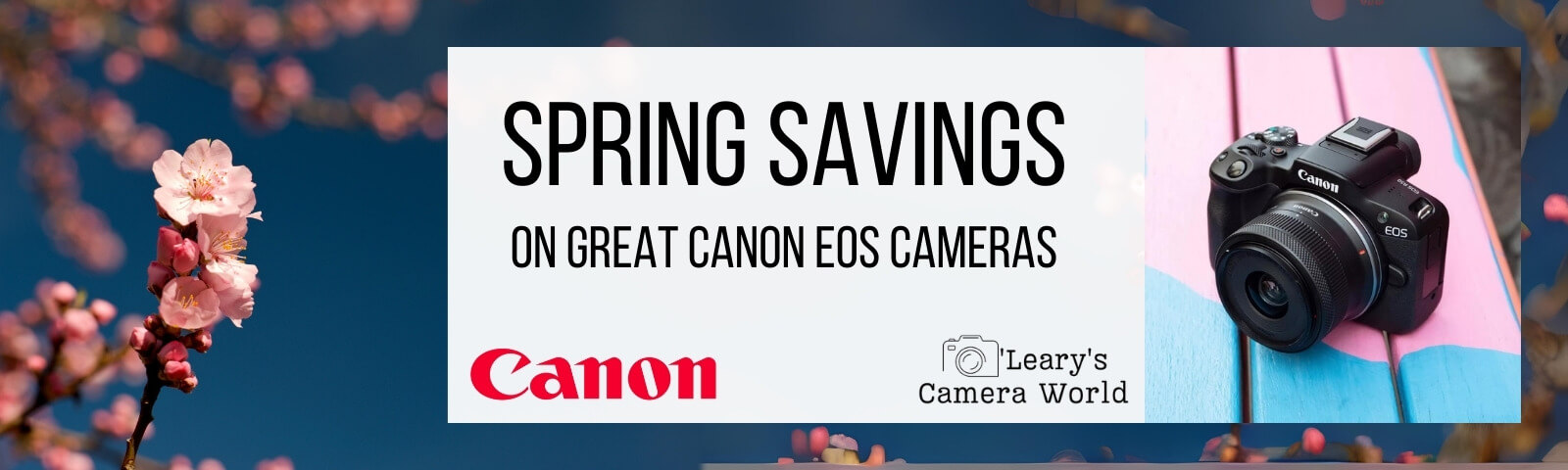 Canon Spring Camera Sale